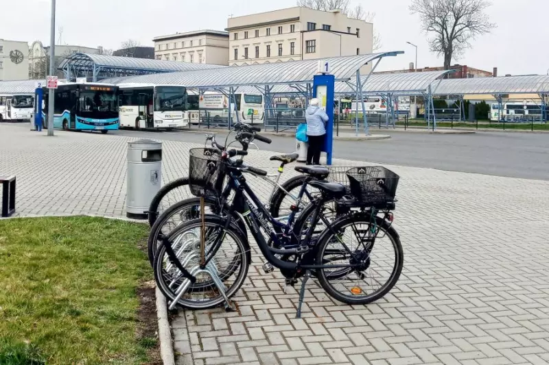 Rower nie tylko dla rekreacji – dla 31% Polaków to środek transportu